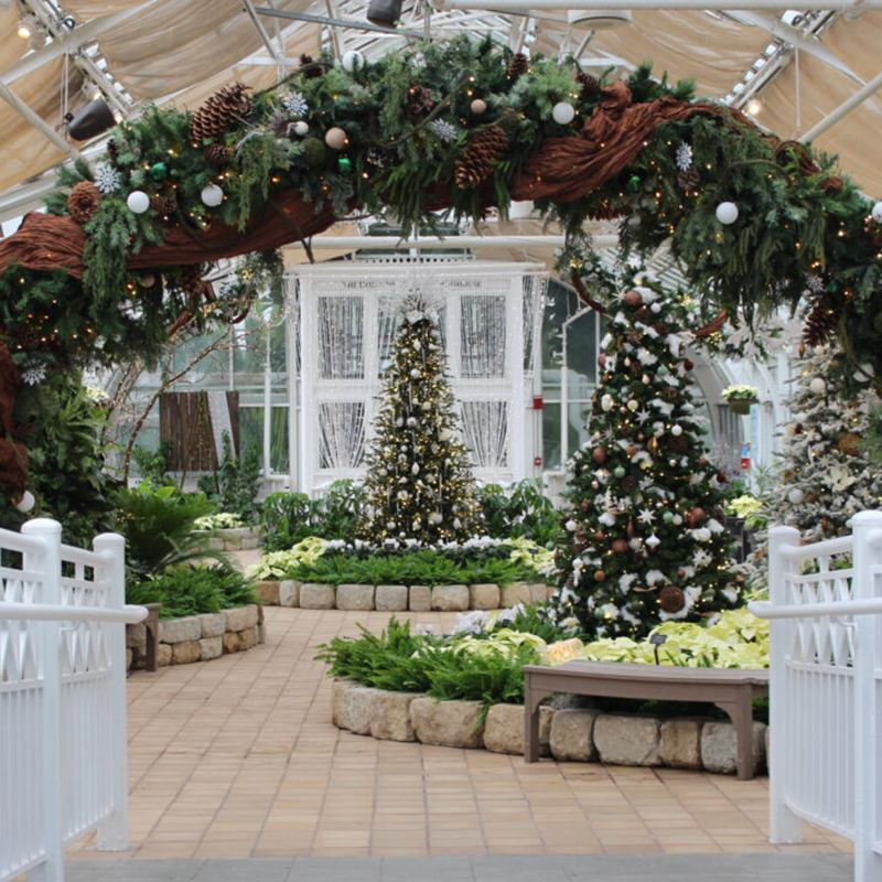 Holiday Blooms at Franklin Park Conservatory and Botanical Gardens