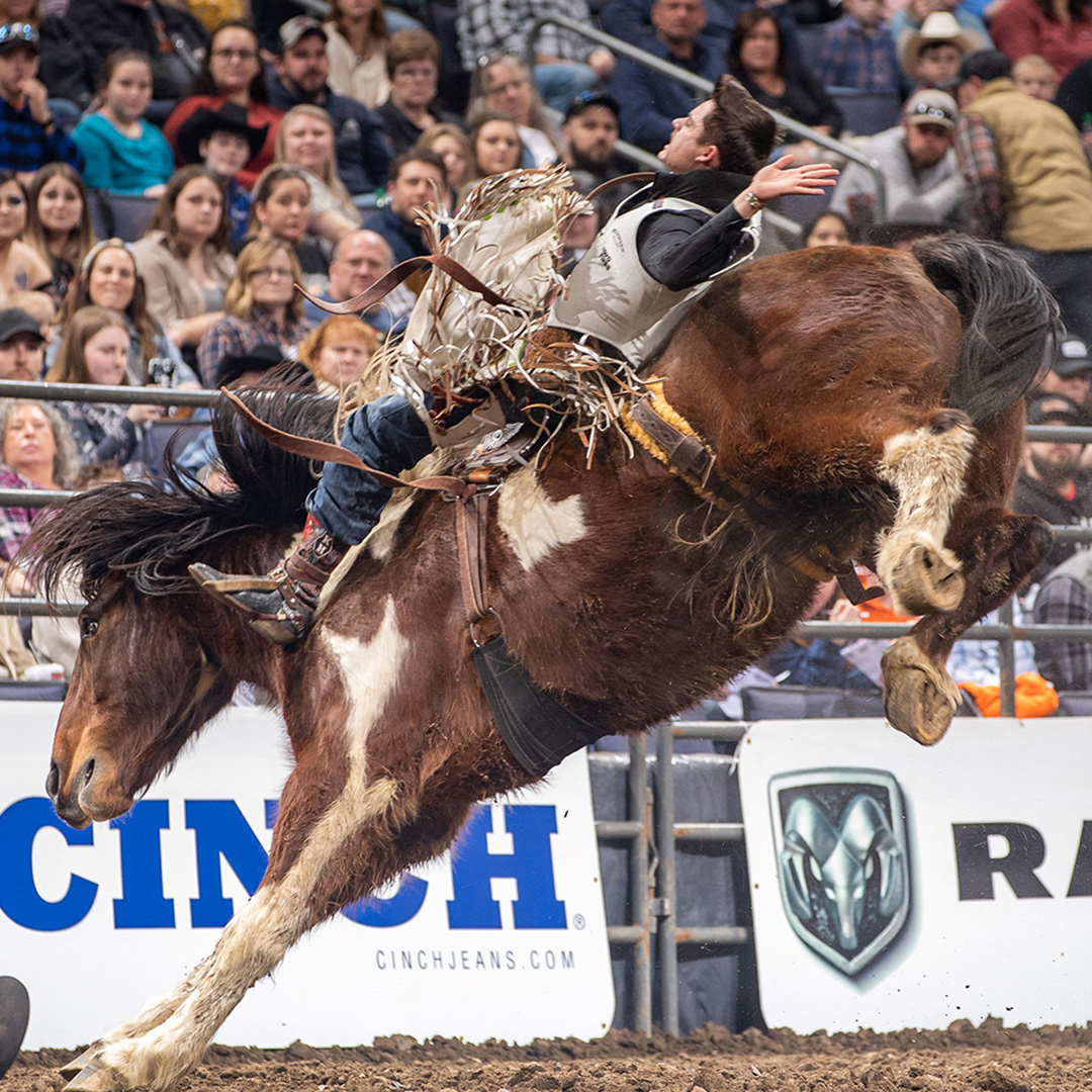 Image of a bronco bucking a rider.