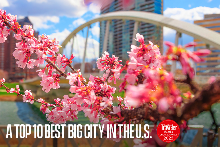 Graphic of cherry blossoms with a bridge and building in the background.
