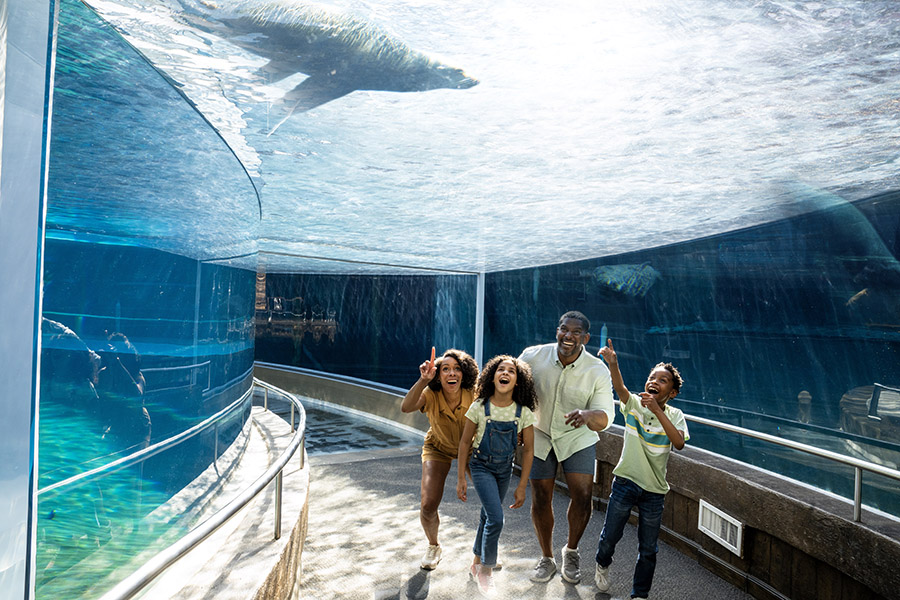 Image of a family at the Columbus Zoo & Aquarium