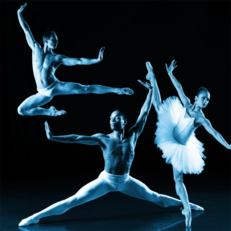 BalletMet image.