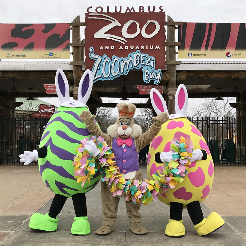 Image from Eggs, Paws, and Claws event.