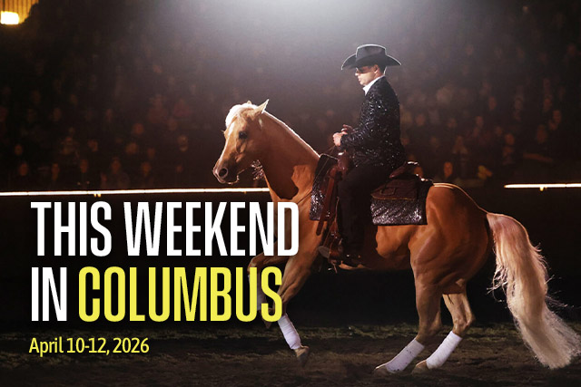 This Weekend in Columbus