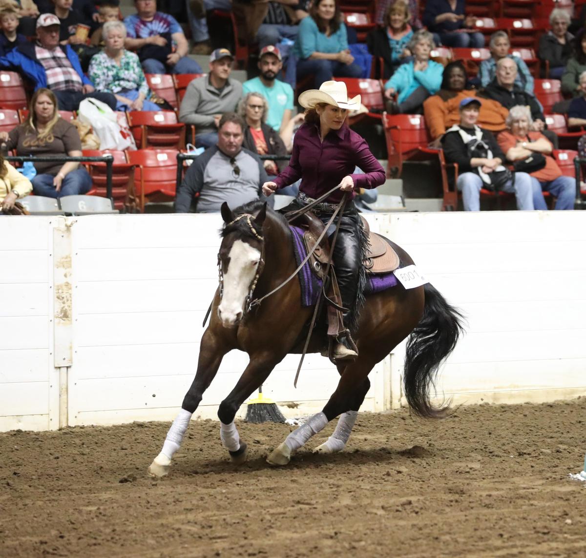 Image of person riding a horse.