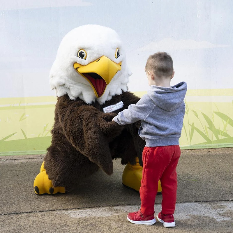 Image of an eagle mascot and a child