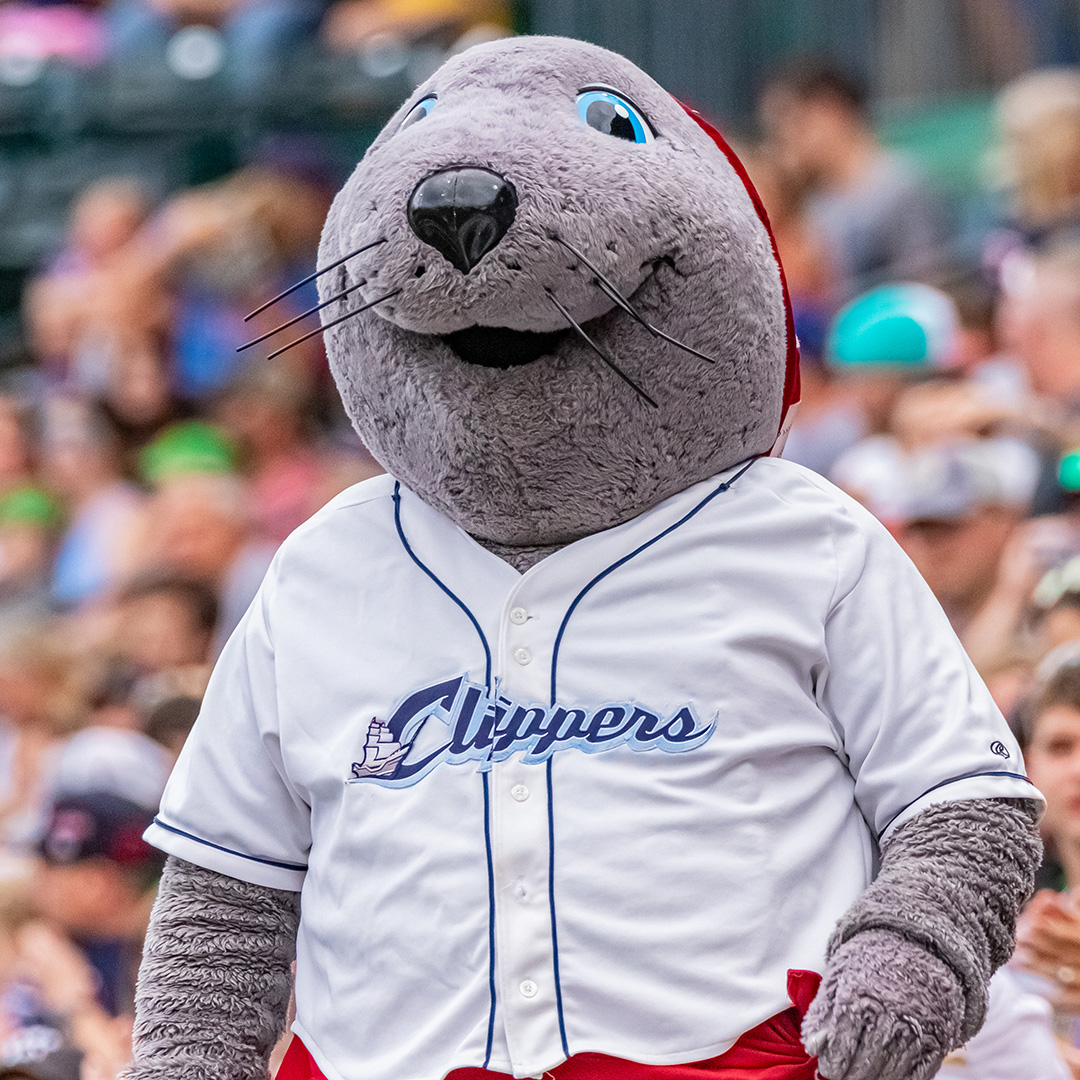 Image of Lou Seal, the Columbus Clippers mascot.