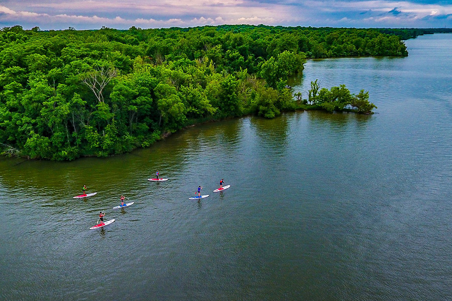 Image of people paddle boarding.