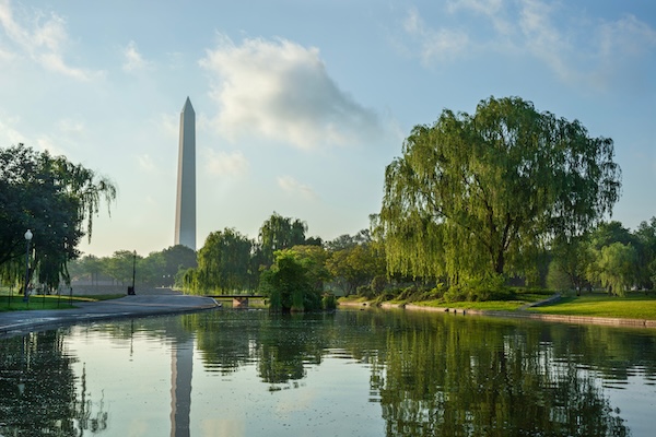 The Washington Monument reflects in a tranquil pond surrounded by willow trees in early morning light in Washington, DC.