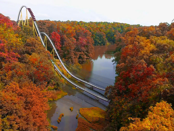 A thrilling coaster ride through colorful fall foliage at Busch Gardens® Williamsburg.