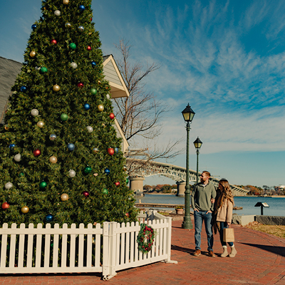 Couple admires Christmas tree with York River and bridge in background at dusk.