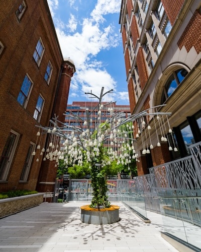 A silver art installation shaped like a tree stands between two brick buildings at Planet Word under a bright blue sky.