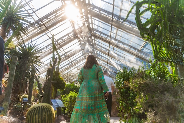Visitors walk through the sunlit U.S. Botanic Garden Conservatory surrounded by cacti and lush greenery in Washington, DC.