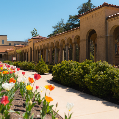 A sunlit garden walkway lined with colorful tulips runs alongside a series of arched columns at the Franciscan Monastery.