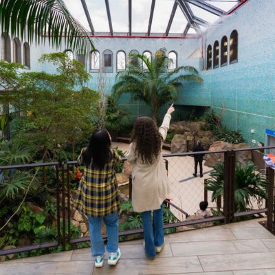 Two visitors overlooking the indoor bird habitat at the Smithsonian’s National Zoo Bird House, surrounded by lush plants and tropical trees under a glass ceiling.