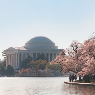 Jefferson Memorial viewed across the Tidal Basin, with blooming cherry blossom trees and visitors walking along the waterfront path.