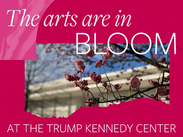 Cherry blossom flowers surrounded by a pink background with text: The arts are in bloom at the Trump Kennedy Center