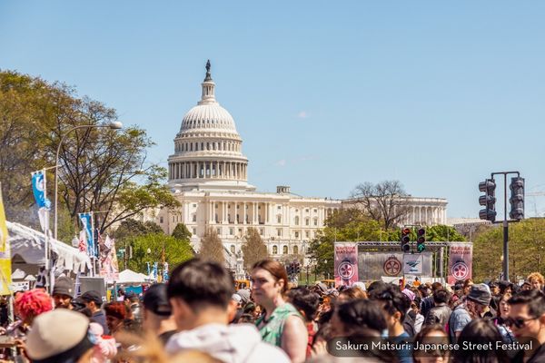 Crowds gathered for the Sakura Matsuri Japanese Street Festival with the U.S. Capitol rising in the background and festival tents and stages lining the street.