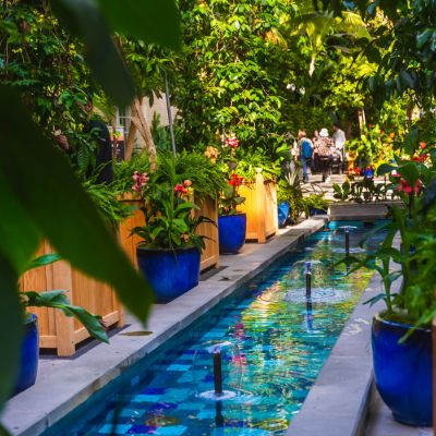 Lush indoor garden at the U.S. Botanic Garden featuring a narrow tiled water feature, vibrant plants in blue pots and visitors walking along the path.