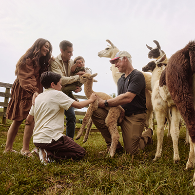 Family interacting with llamas at a farm, with children petting the animals while an adult kneels nearby and others look on.
