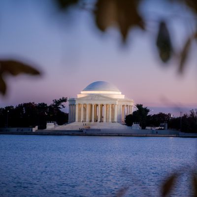 Jefferson Memorial illuminated at dusk across the Tidal Basin, framed by out-of-focus leaves in the foreground.