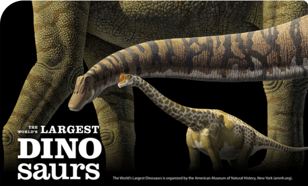 Three dinosaurs of different sizes