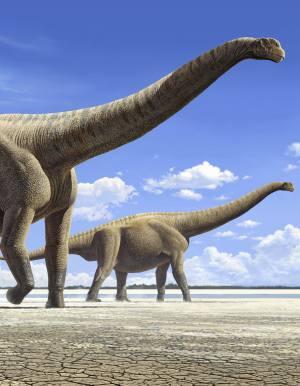 two long neck dinosaurs walking on dry land