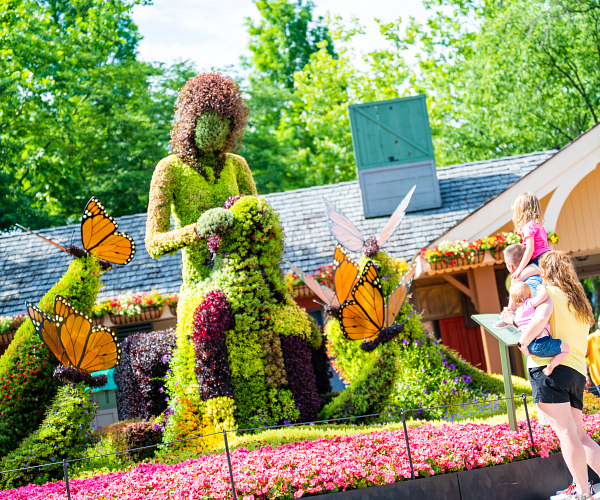 Dollywood Theme Park | Flower & Festival Presented By Covenant Health