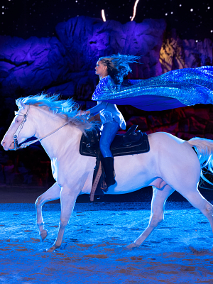 Dolly Parton's Stampede Dinner Attraction