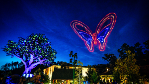 Dollywood Butterfly During Drone Show
