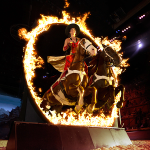 Dolly Parton's Stampede Dinner Attraction