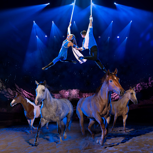 Dolly Parton's Stampede Dinner Attraction