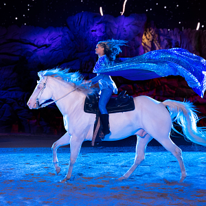Dolly Parton's Stampede Dinner Attraction