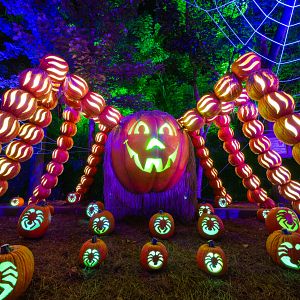 Dollywood's Harvest Festival Presented By Humana