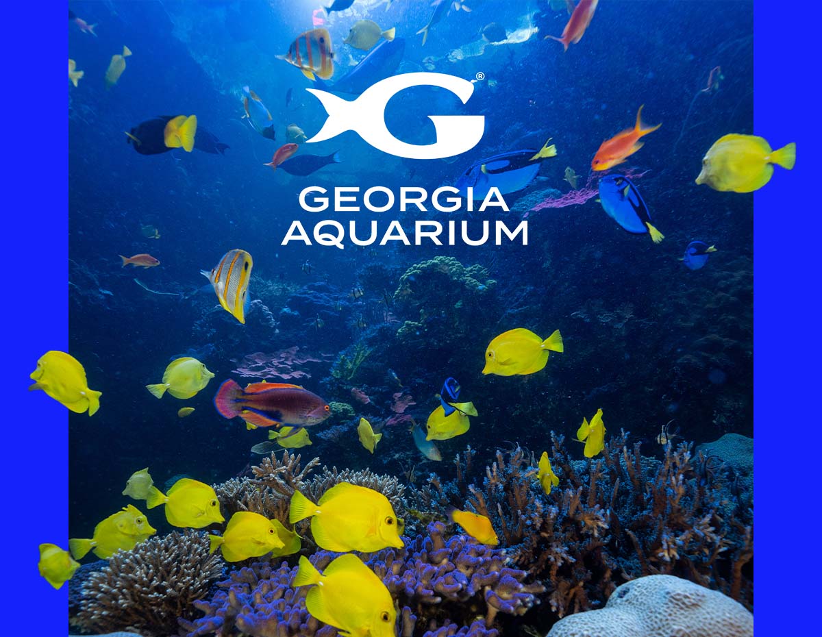 Georgia Aquarium