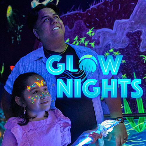 Glow Nights