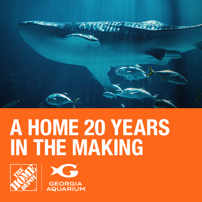 The Home Depot
