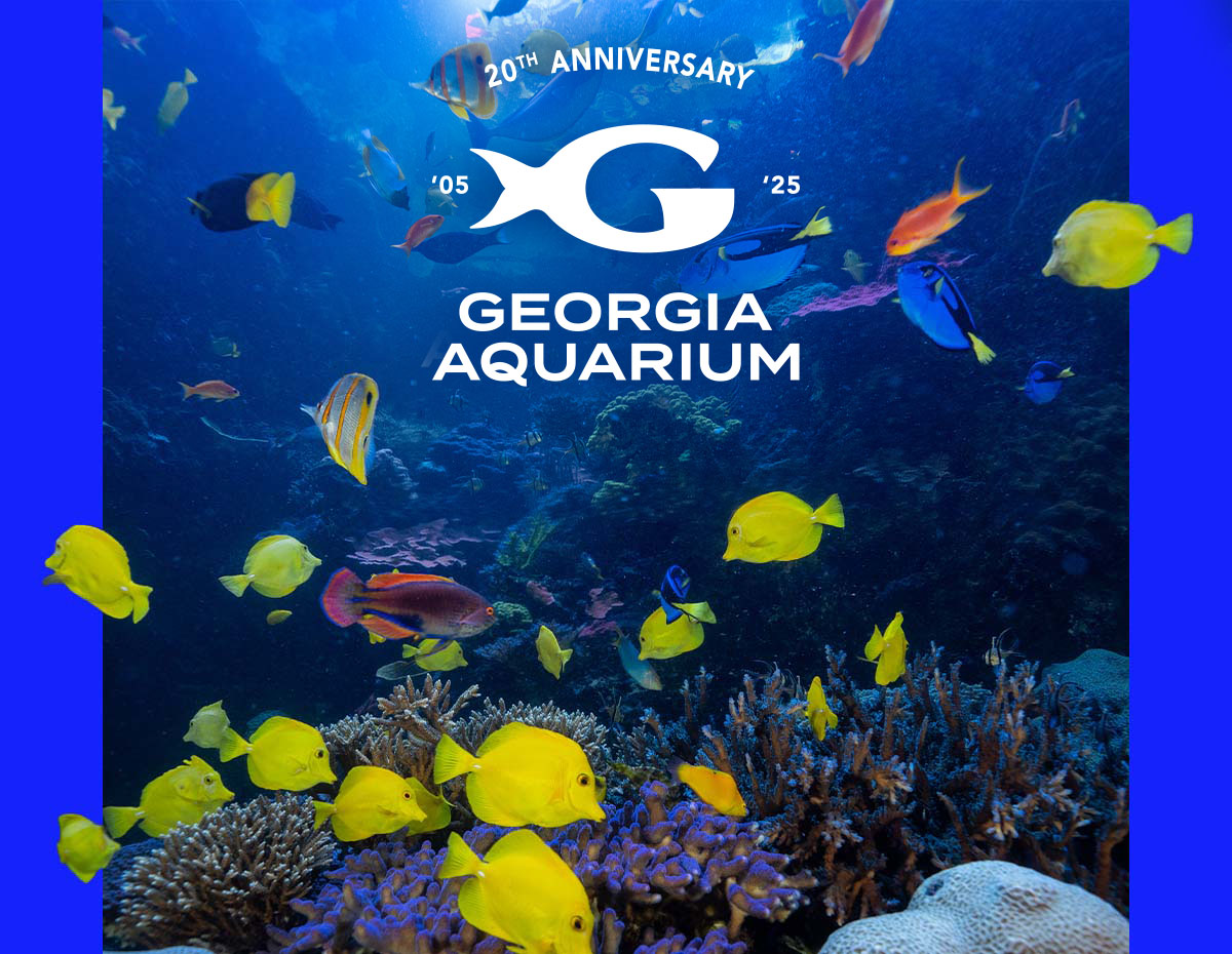 Georgia Aquarium