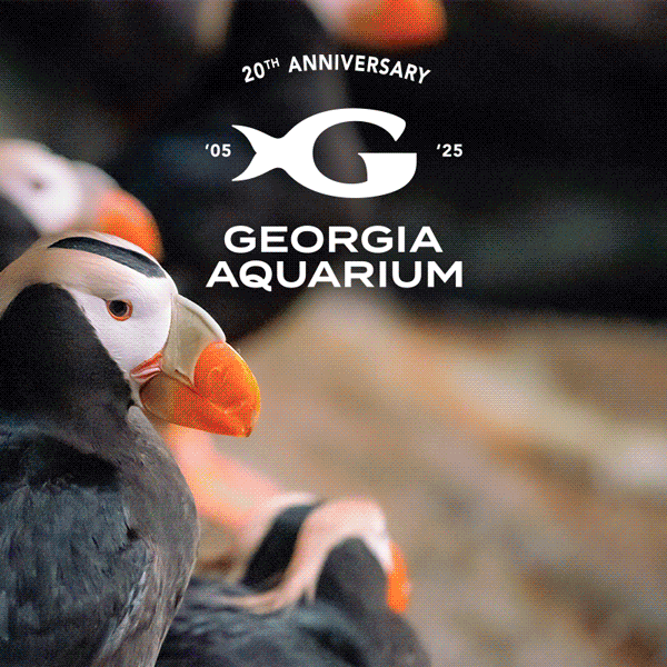 Georgia Aquarium