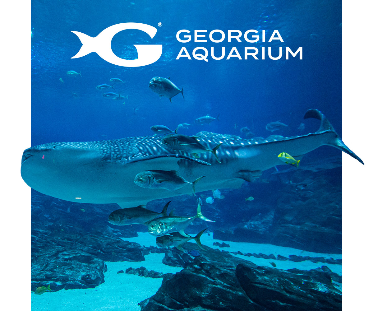 Georgia Aquarium