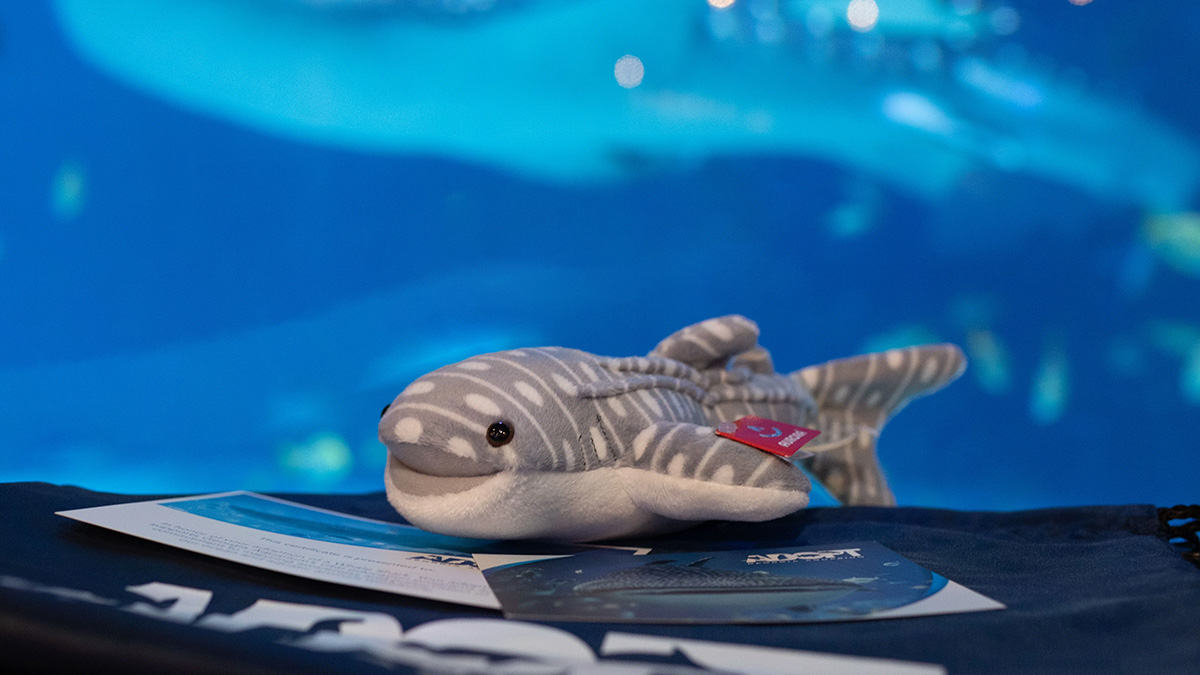 Georgia Aquarium