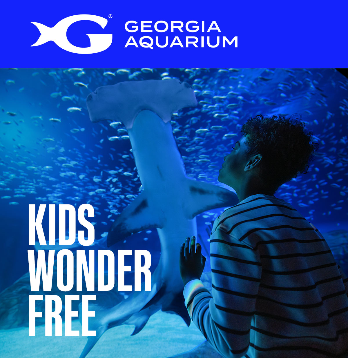 Georgia Aquarium