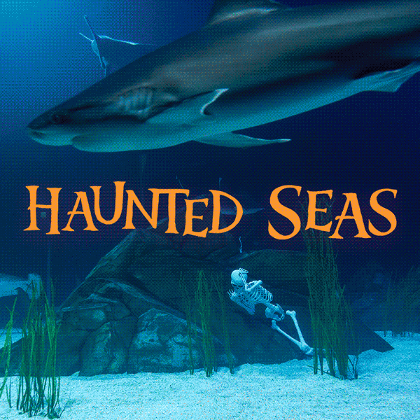 Haunted Seas