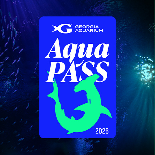 Aqua Pass