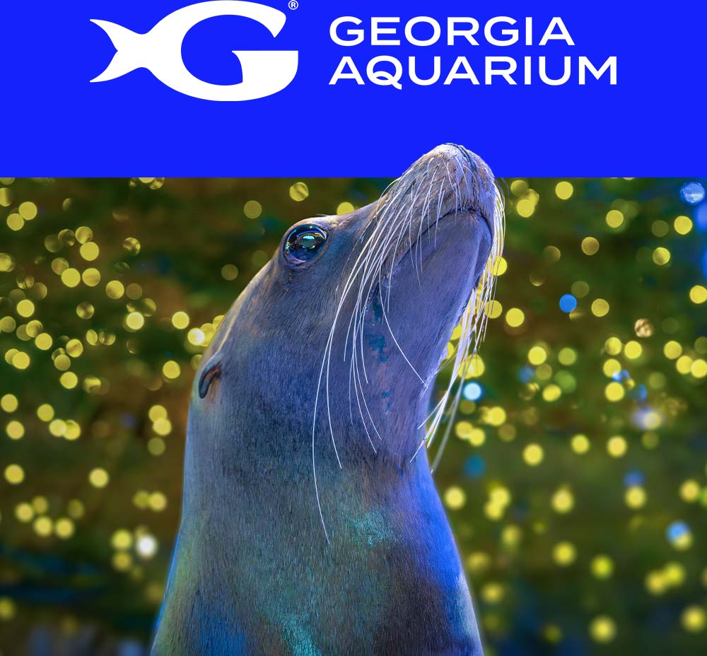 Georgia Aquarium logo, with a Sea Lion in front of a tree lit in holidays lights. 
