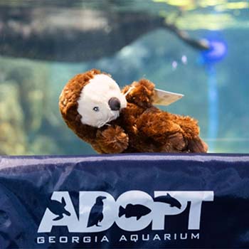 Otter plush toy with an otter swimming behind. 