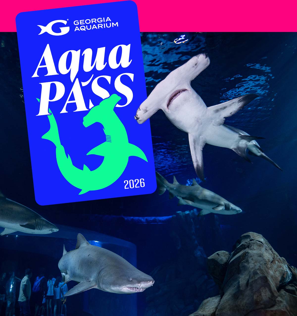 Georgia Aquarium's Aqua Pass card overlayed on an image of sharks swimming in their gallery. 