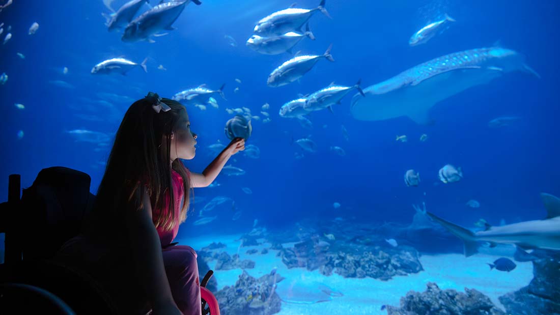 Georgia Aquarium logo