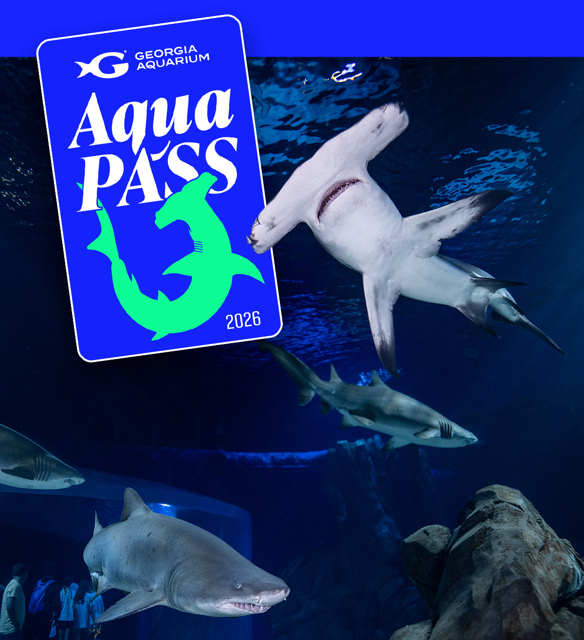 Georgia Aquarium Aqua Pass overlayed on an image of sharks in their gallery