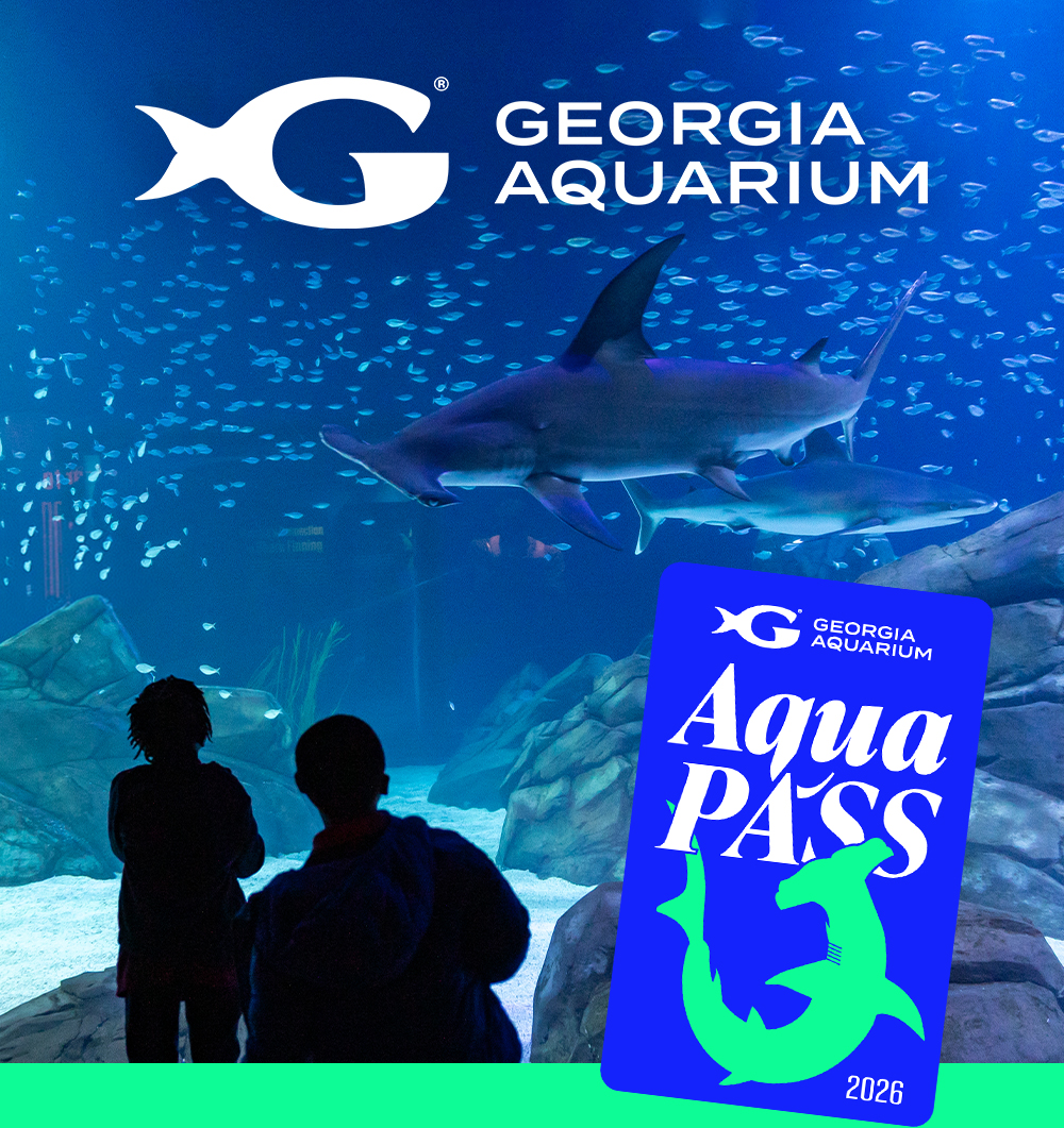 Slideshow of animals and experiences at Georgia Aquarium