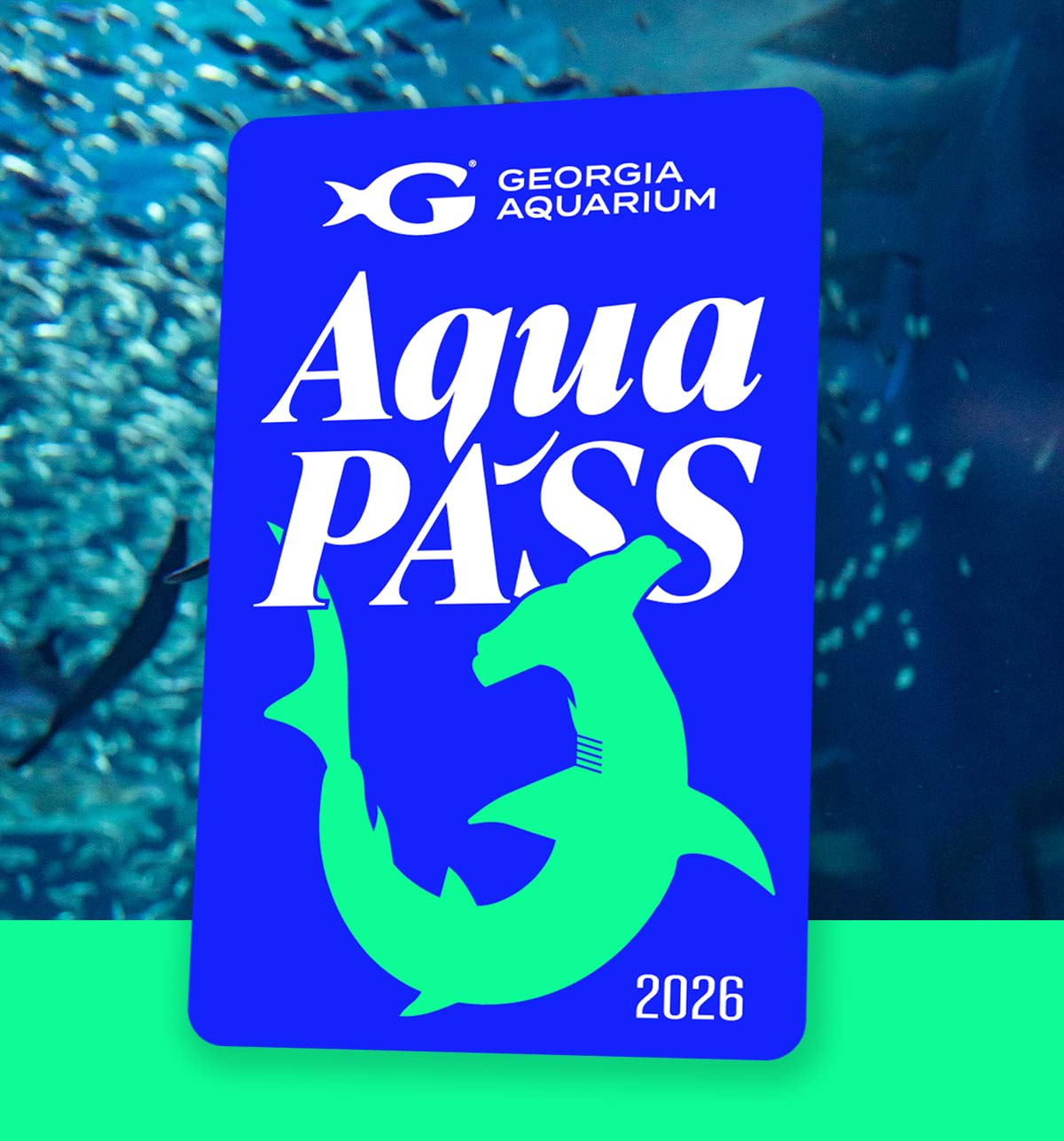 Aqua Pass at Georgia Aquarium